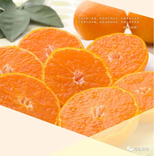 無標題