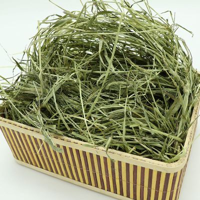 甘肅岷縣北提牧草 為您的兔兔和龍貓?zhí)暨x一份優(yōu)質(zhì)的2021年半烘干提摩西干...